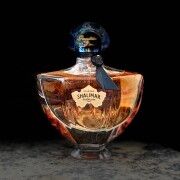 Shalimar Millésime Jasmin by Guerlain (2 ml decant)