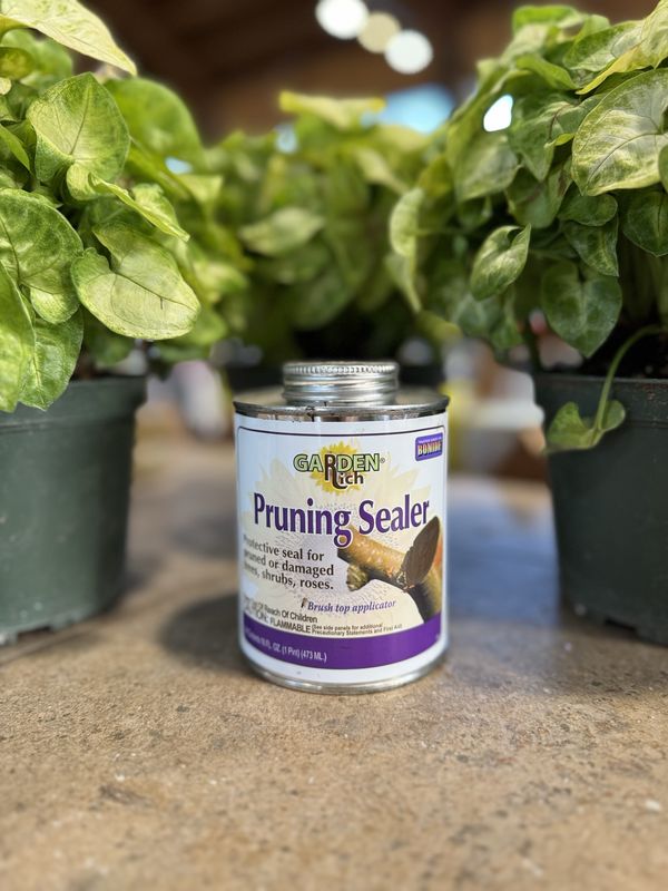 Bonide PT Pruning Sealer