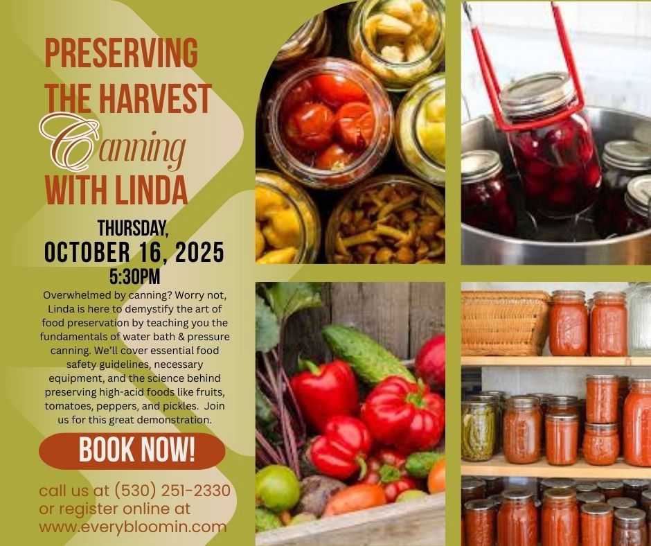 Preserving The Harvest with Linda