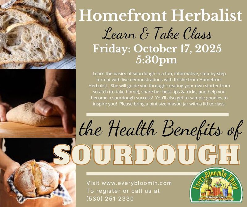 Sourdough Basics with Kristie