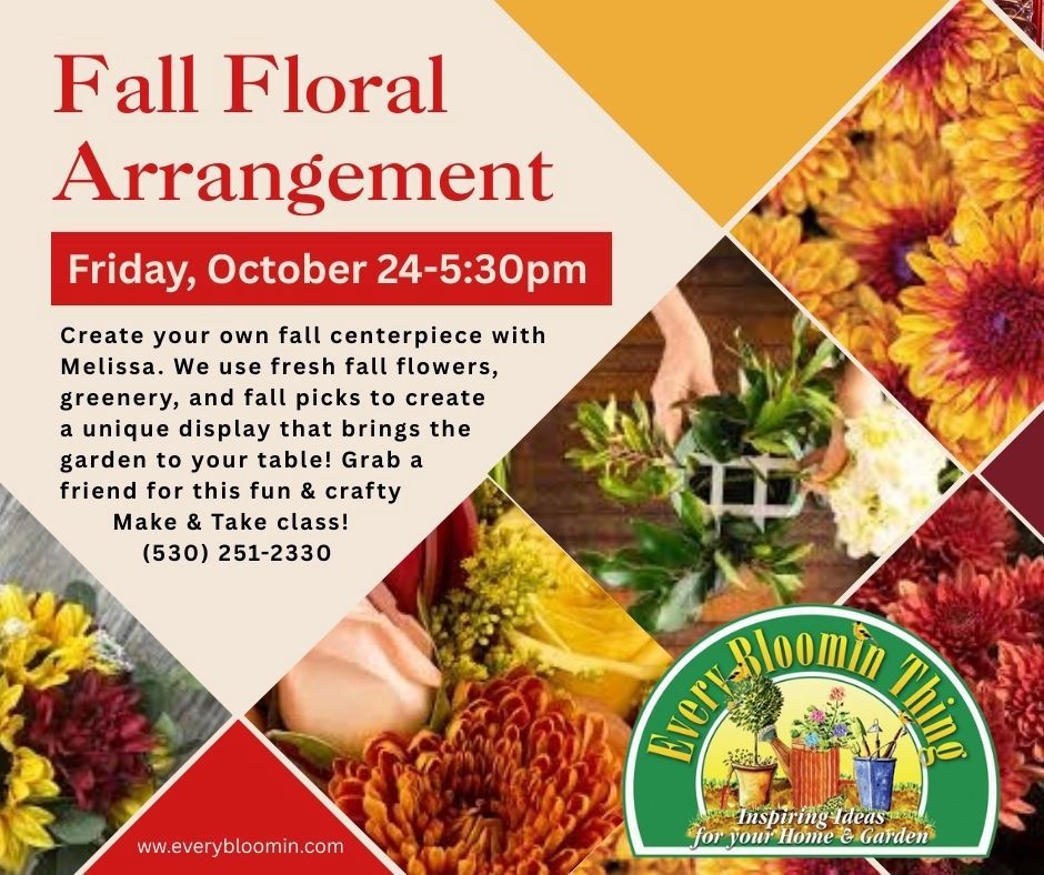 Fall Floral Arrangement with Melissa 10/24