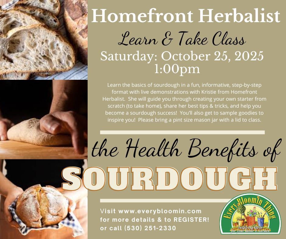 Sourdough Basics with Kristie #2 10/25