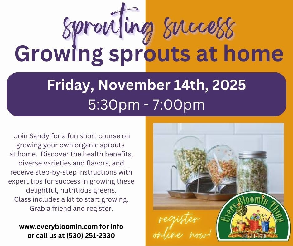Growing Sprouts at Home with Sandy 11/14