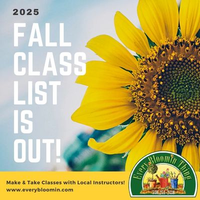 Classes &amp; Events