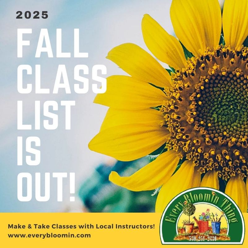 Classes &amp; Events