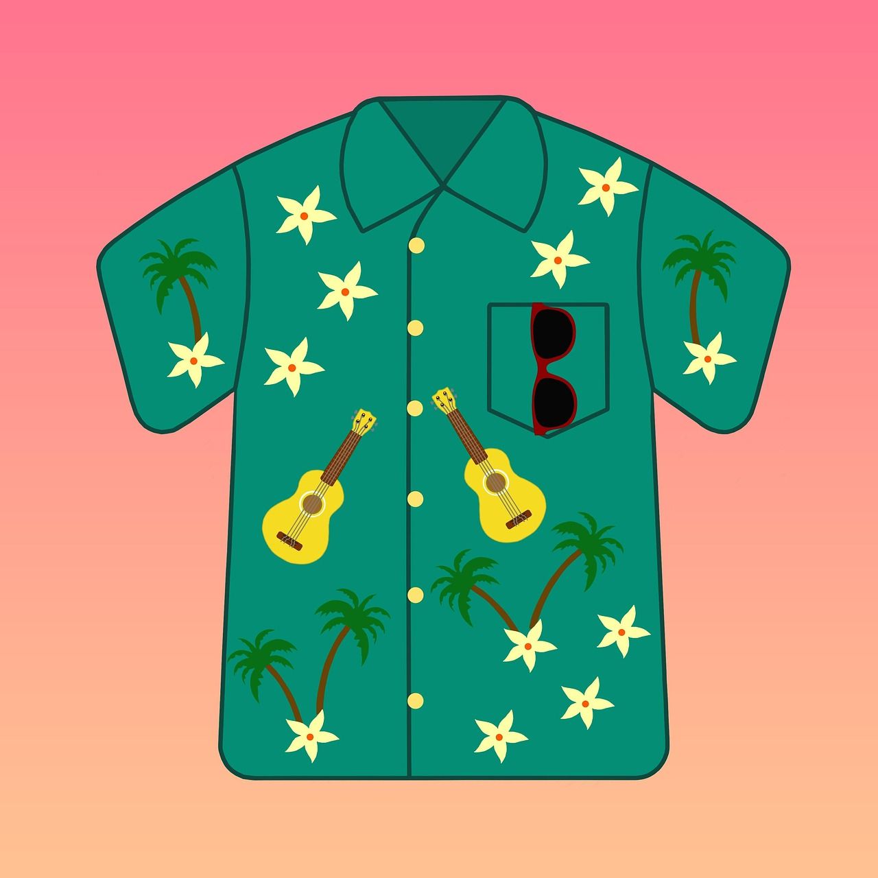 Picture of a Hawaii Shirt Frame