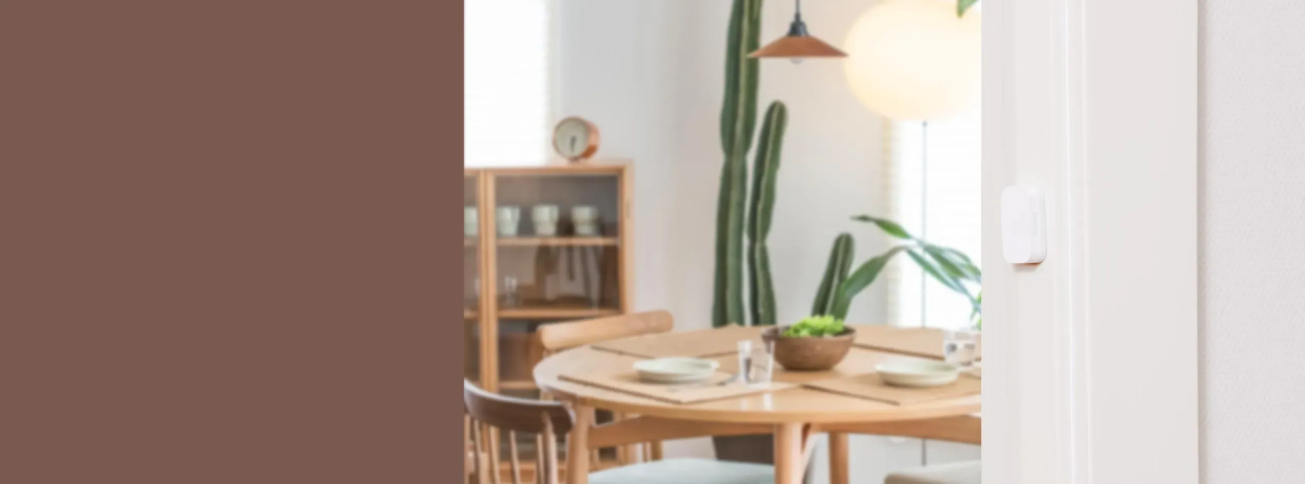 Capteur de porte et de fenêtre