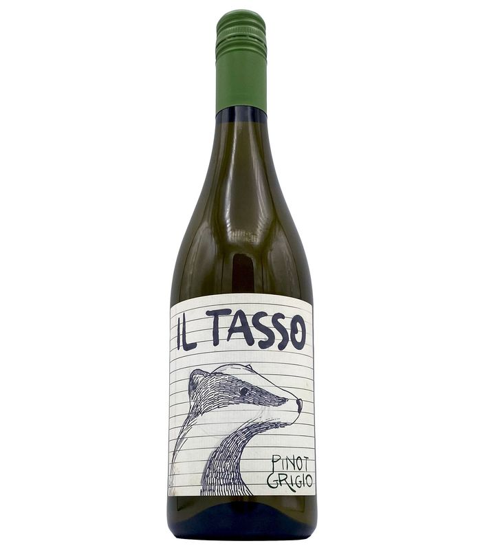 Pinot Grigio 2023 Il Tasso