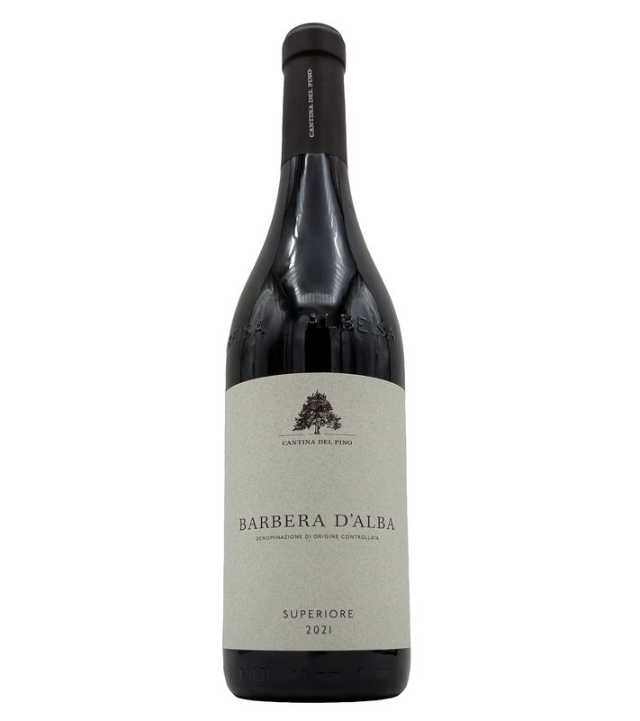 Barbera d&#39;Alba 2021 Cantina del Pino