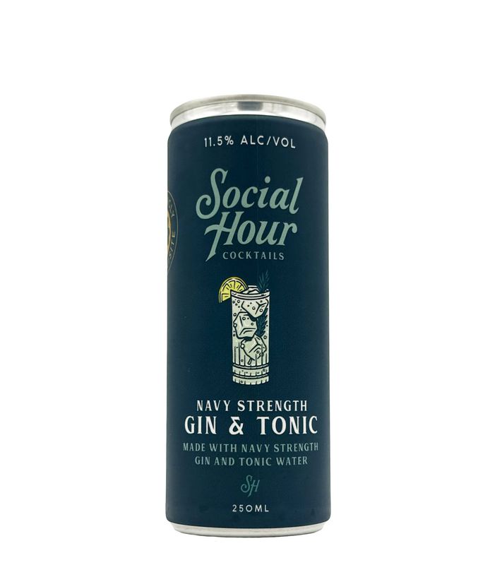 Gin &amp; Tonic 250ml (can) Social Hour Cocktails