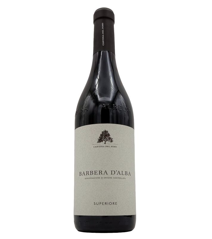 Barbera d&#39;Alba 2022 Cantina del Pino