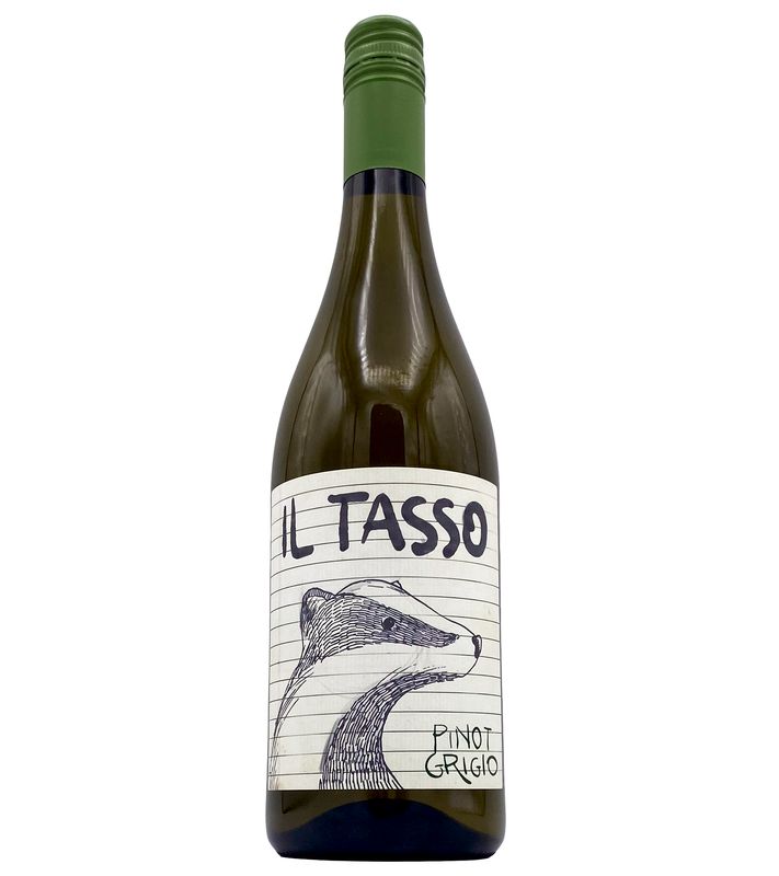 Pinot Grigio 2024 Il Tasso