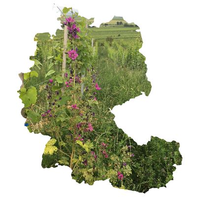 Germany &amp; Austria