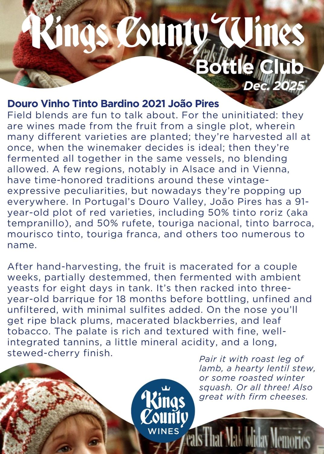 Douro Vinho Tinto Bardino 2021 João Pires