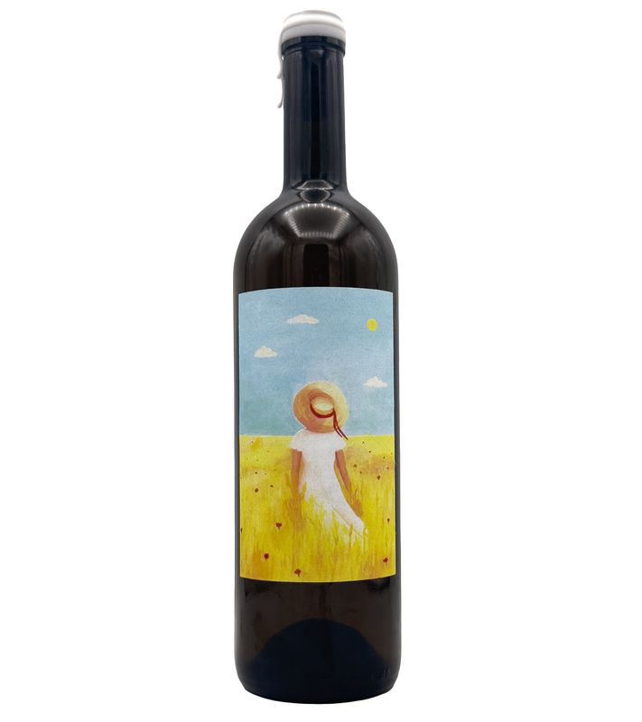 Calipso 2023 Due Dune