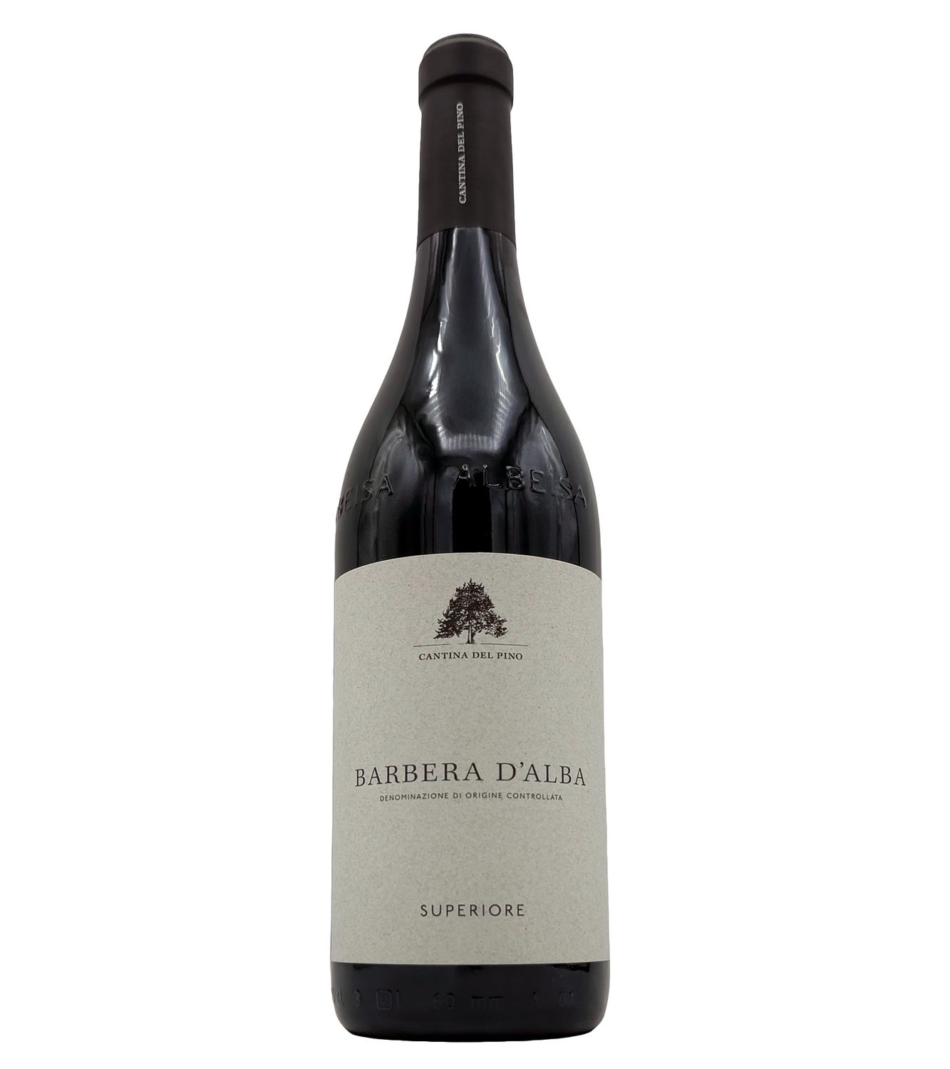 Barbera d'Alba 2023 Cantina del Pino
