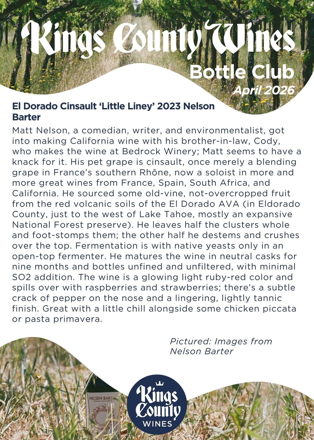 El Dorado Cinsault 2022 Nelson Barter