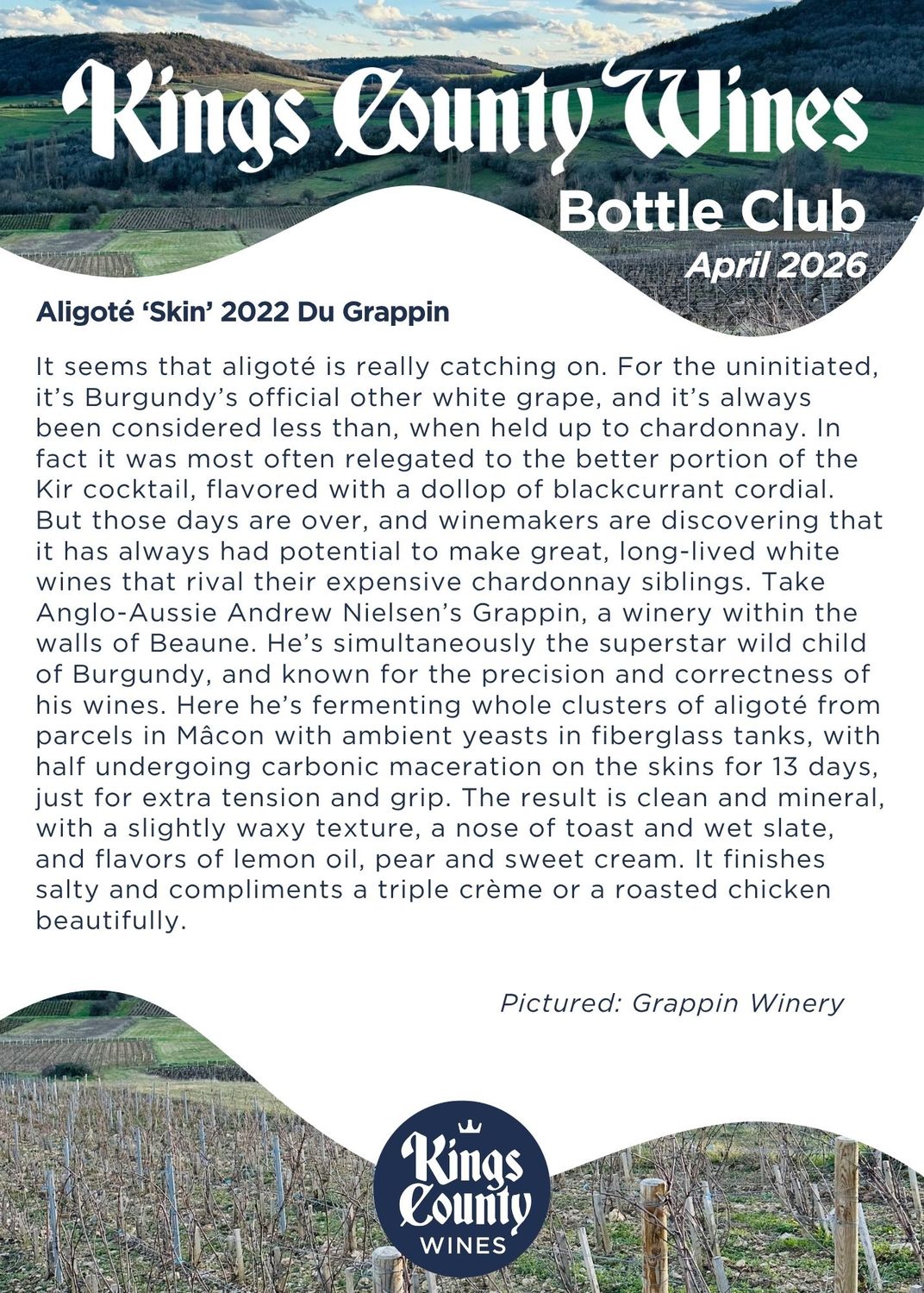Bourgogne Aligoté Skin 2023 Du Grappin
