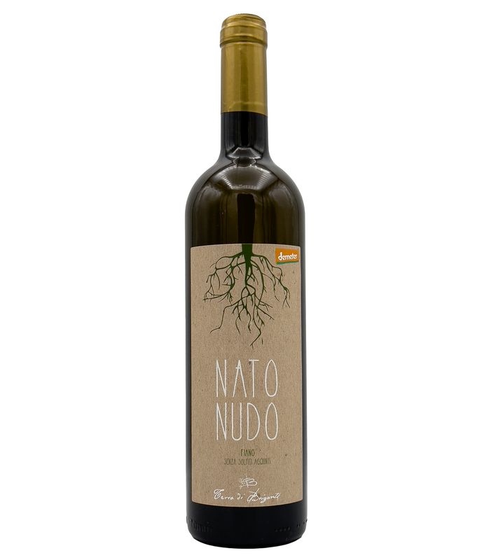 Fiano Nato Nudo 2024 Terra di Brigante