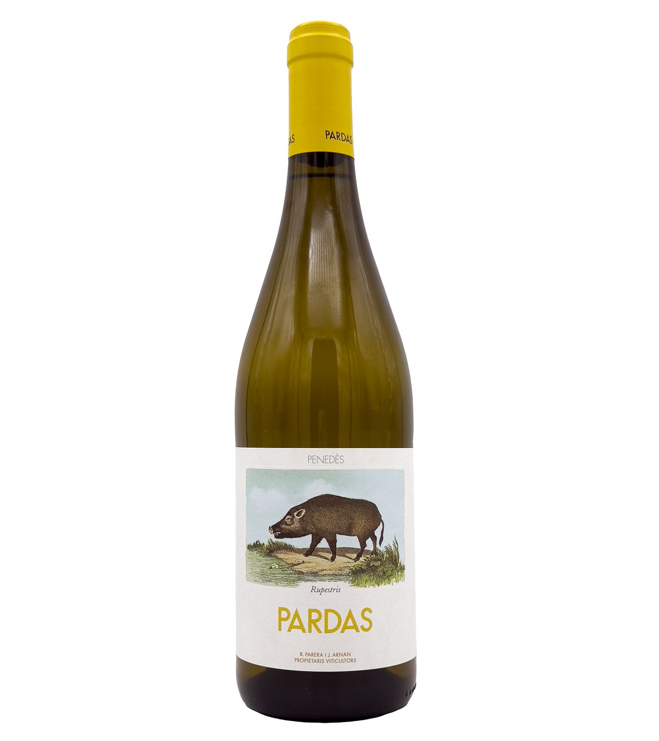 Blanco Rupestris 2024 Pardas