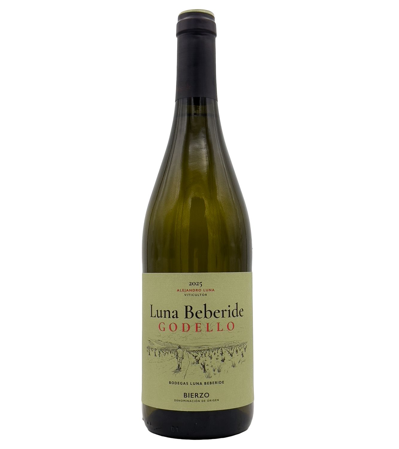 Godello Bierzo 2025 Luna Beberide