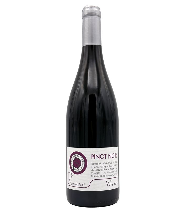Pinot Noir Pourquoi Pas? 2023 Sauger