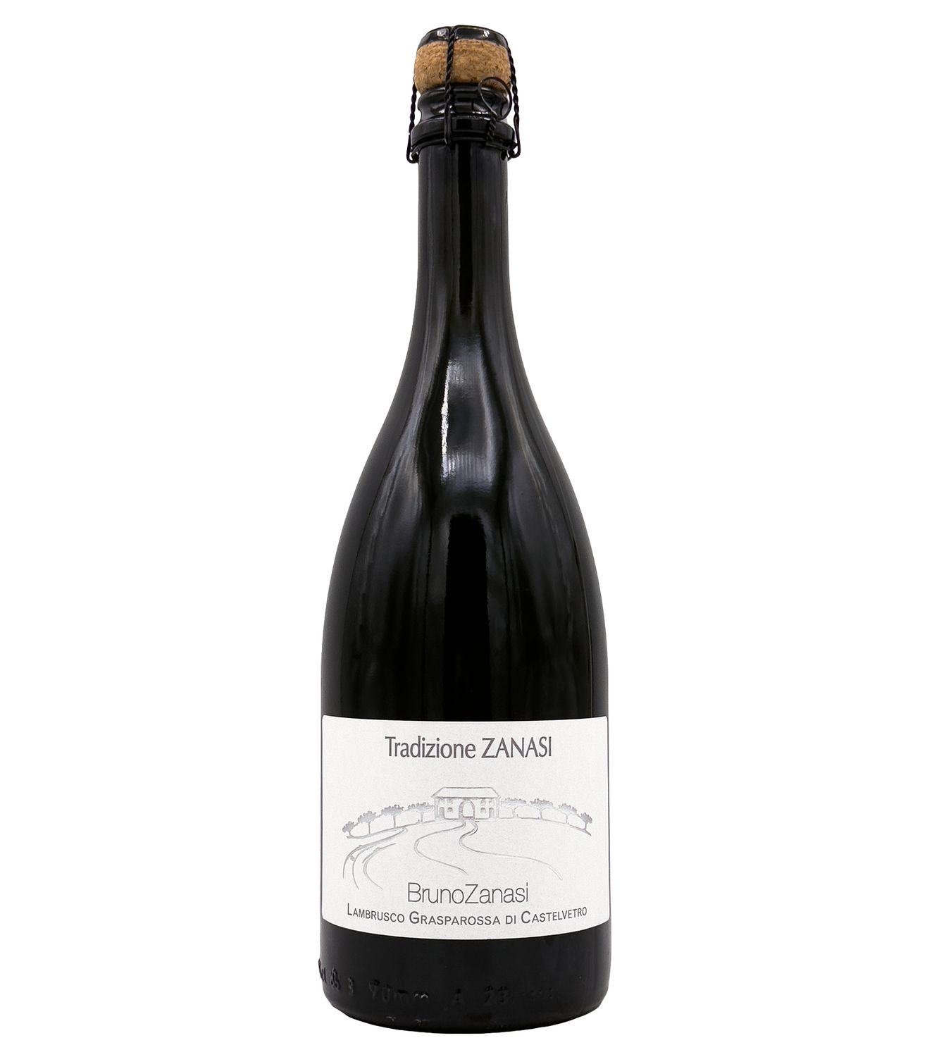 Lambrusco Grasparossa 2025 Zanasi