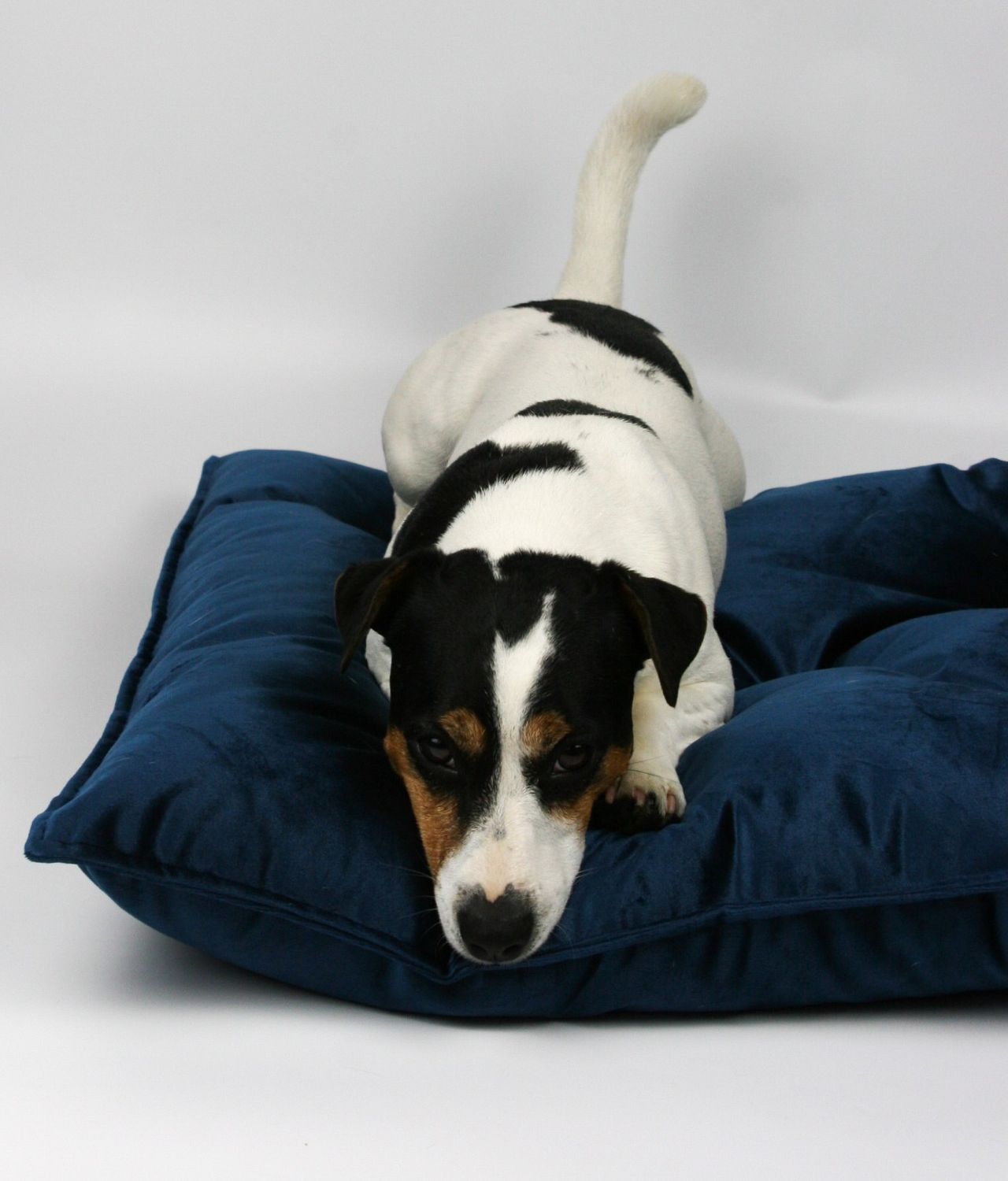 Legowisko FAB Velvet SAPPHIRE