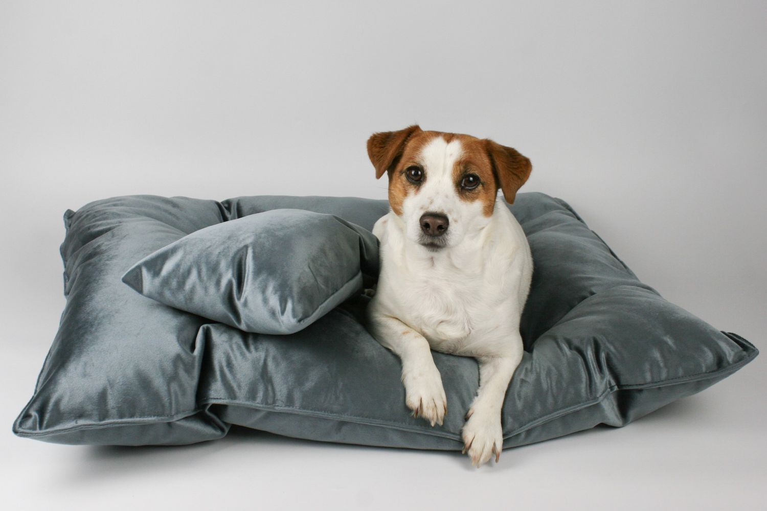 Legowisko FAB Velvet STEEL