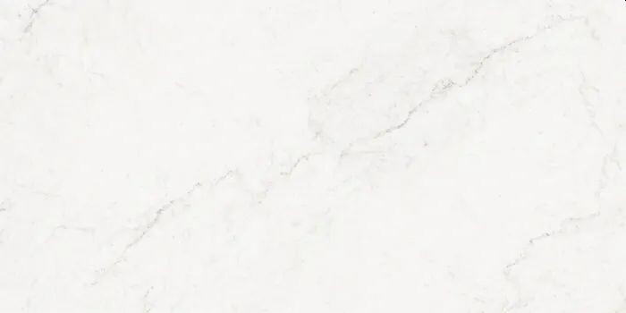 Carrara Grey Honed Porcelain