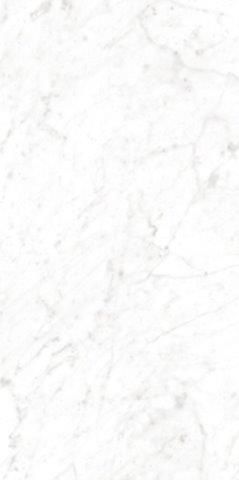 Bianco Carrara Satin Porcelain