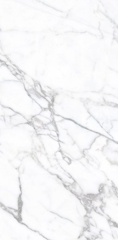 Statuario Venato Honed Porcelain
