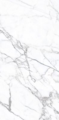 Statuario Venato Honed Porcelain