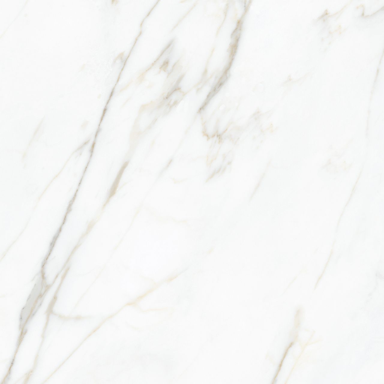 Calacatta Gold Honed Porcelain