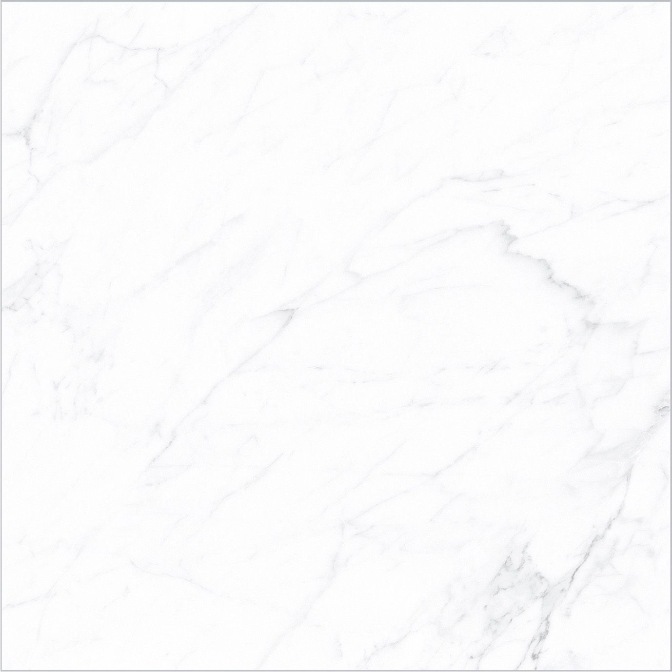 Altissimo Grey Honed Porcelain