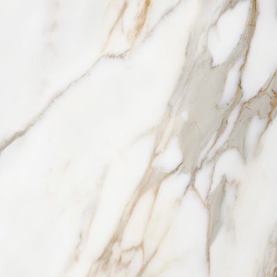 Elite Marble Calacatta Macchia Matt Porcelain