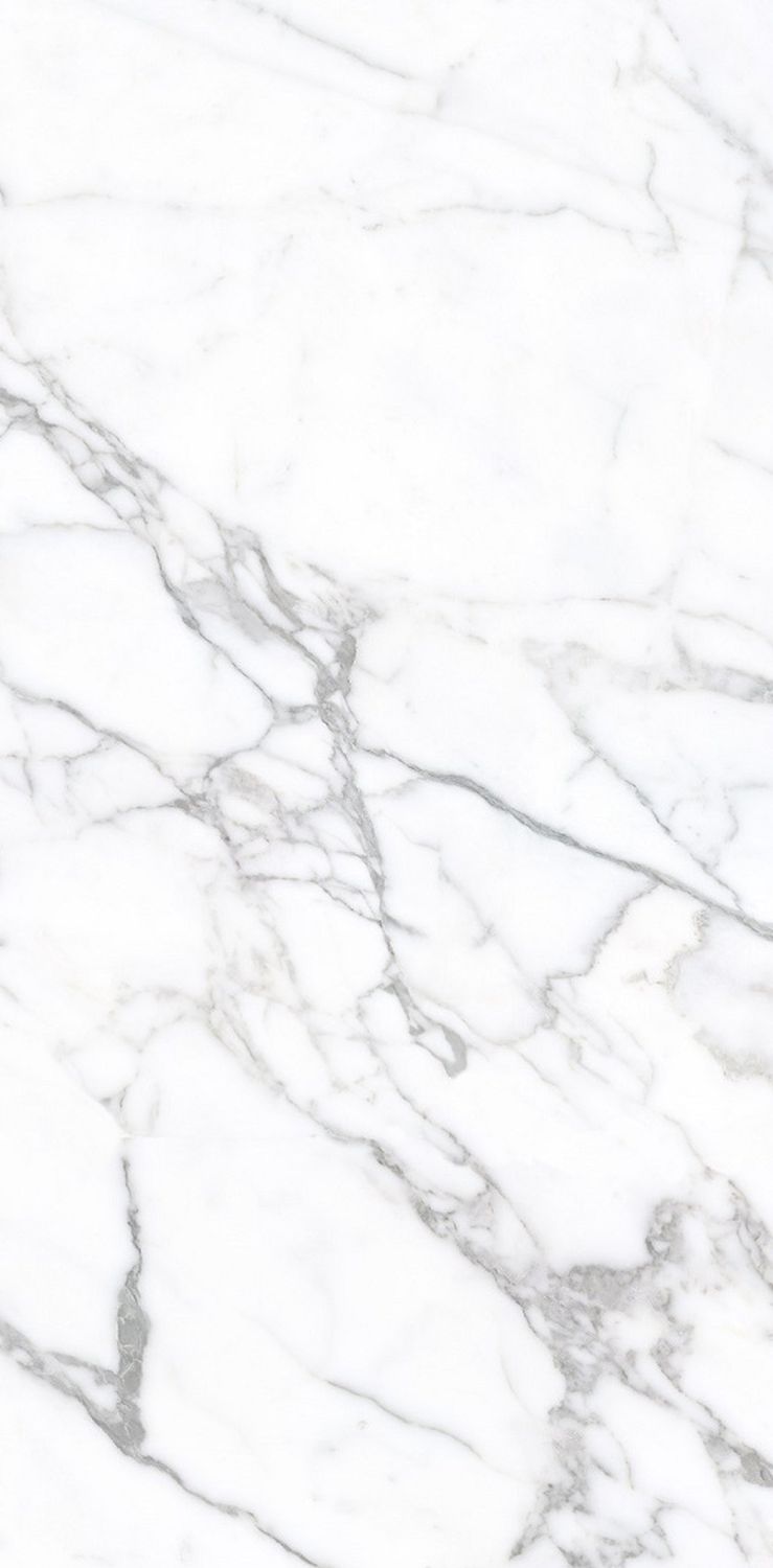 Statuario Venato Honed Porcelain