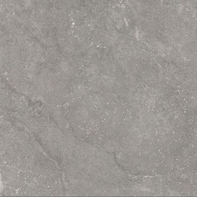 Traverpro Grey Porcelain Paver (R11)