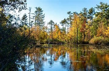 Mud Lake Walk with Gloria