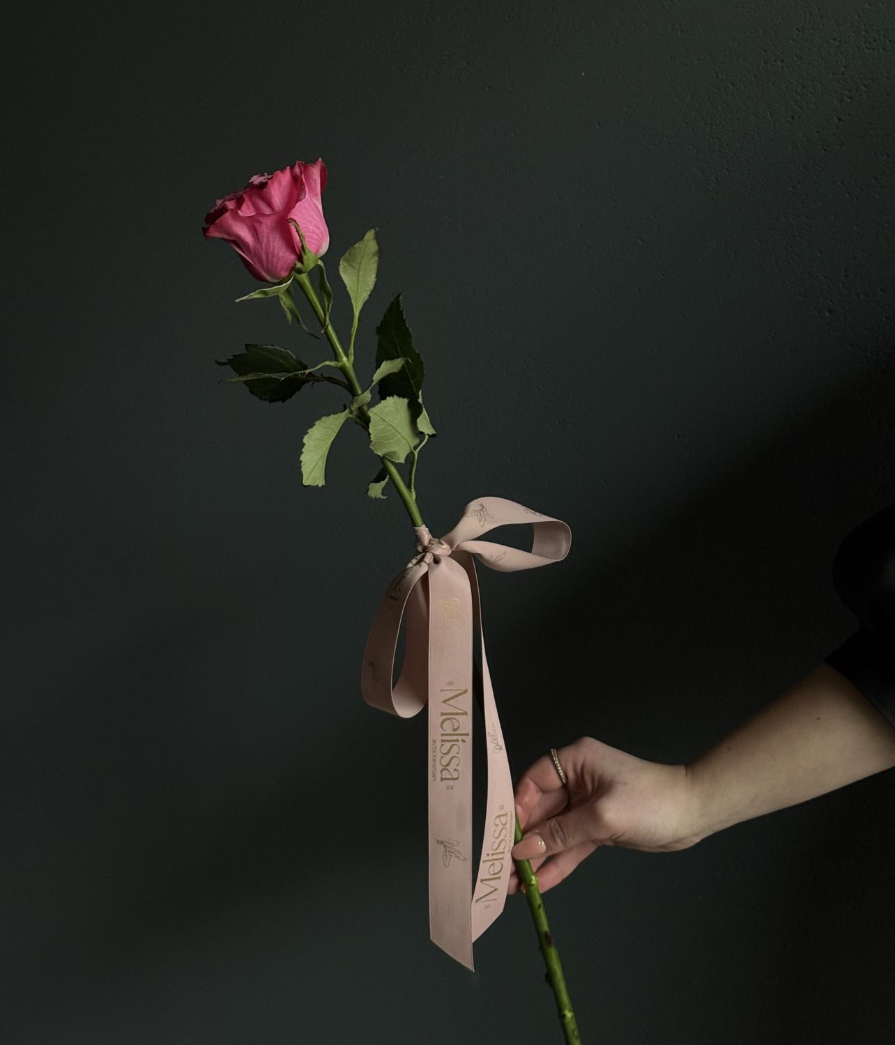 Country Blues Rose – Single