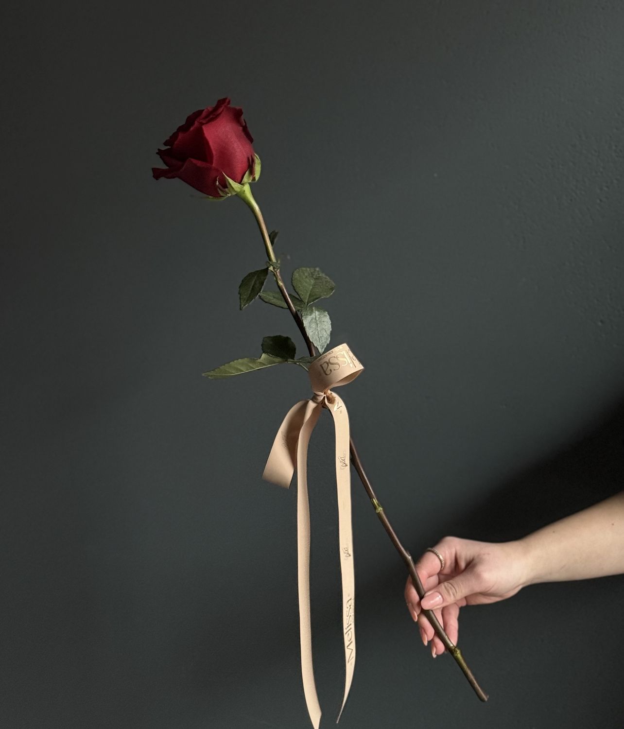 Explorer Rose – Single