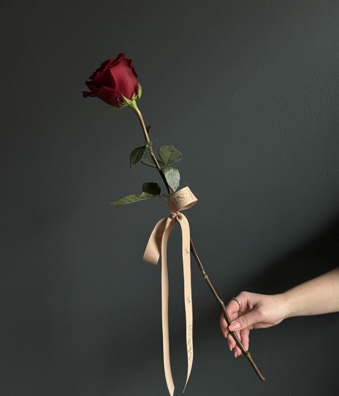 Explorer Rose – Single