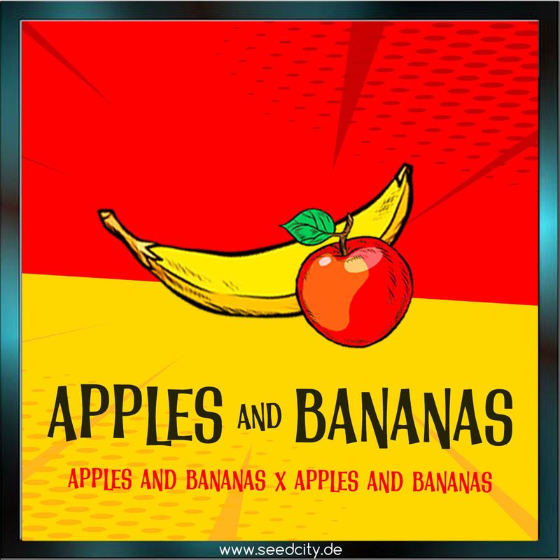 Elev8 Seeds - APPLES & BANANAS S1 - feminized