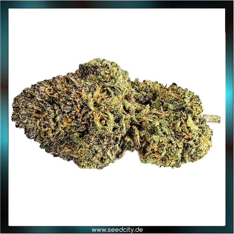 Lucky Hemp - Candy Grape CBD