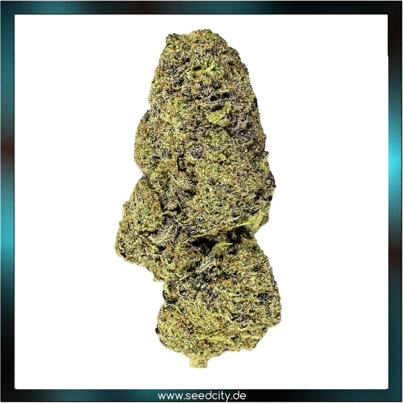 Lucky Hemp - Purple Punch CBD - 2g Ökopack