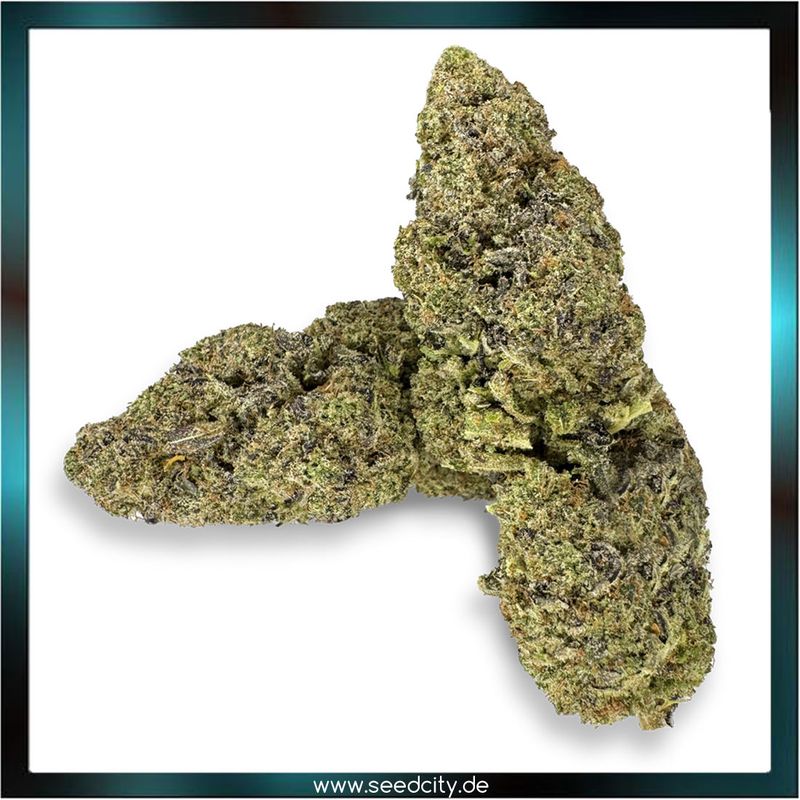 Lucky Hemp - Purple Punch CBD - 1g Ökopack