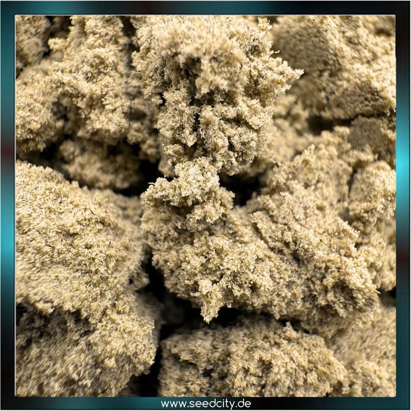 Static Hash - 55% CBD - 2g Ökopack