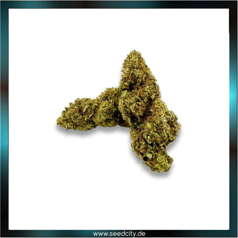 Orange Haze CBD - 1g Ökopack