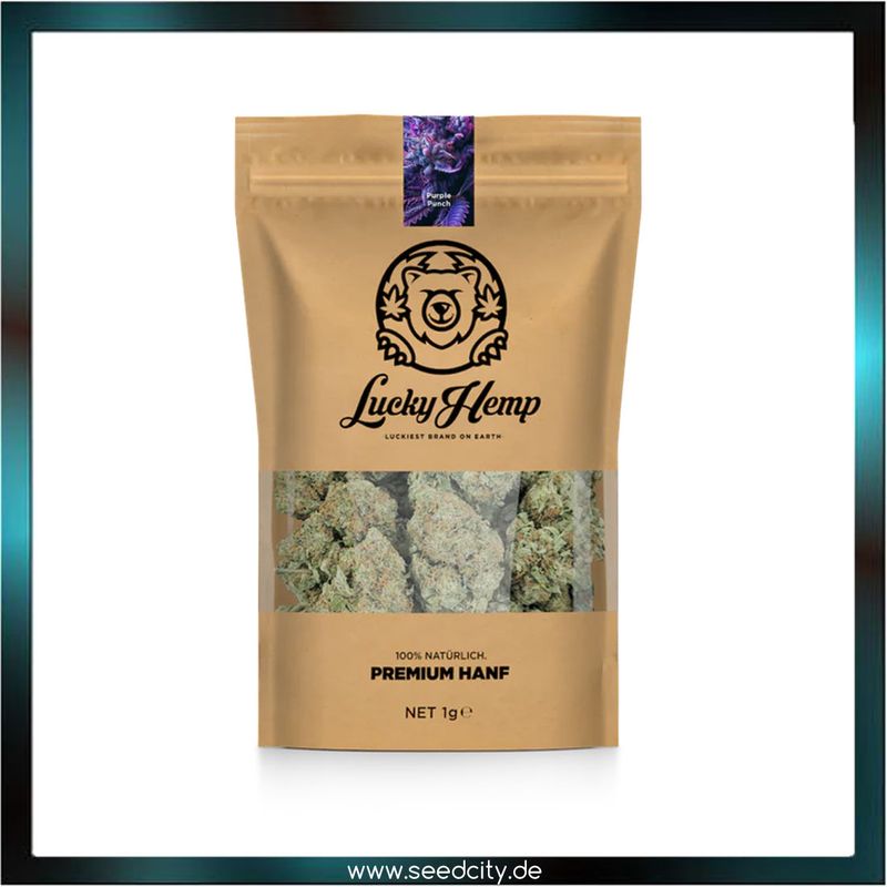 Lucky Hemp - Purple Punch CBD - 2g Ökopack