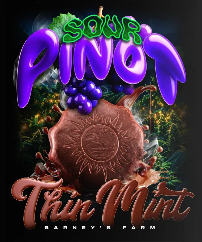 Barneys Farm - Thin Mint x Sour Pinot - Automatic